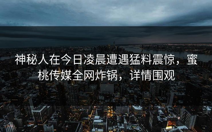 神秘人在今日凌晨遭遇猛料震惊，蜜桃传媒全网炸锅，详情围观