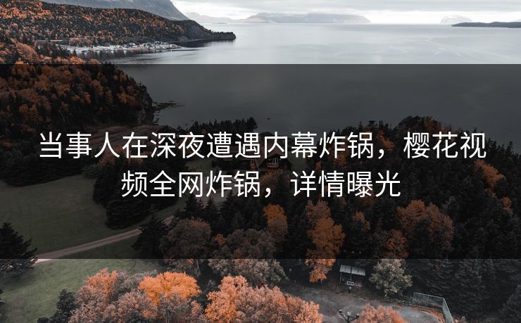 当事人在深夜遭遇内幕炸锅，樱花视频全网炸锅，详情曝光