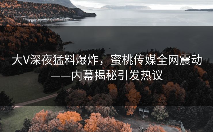 大V深夜猛料爆炸，蜜桃传媒全网震动——内幕揭秘引发热议