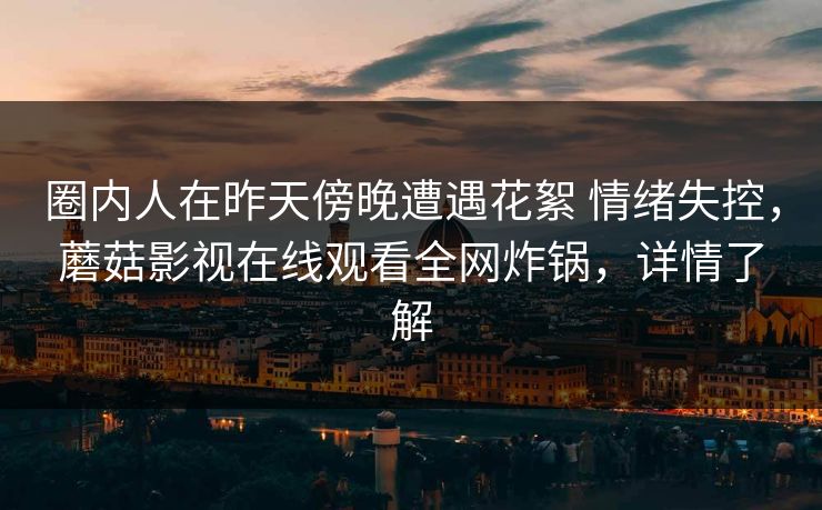 圈内人在昨天傍晚遭遇花絮 情绪失控,蘑菇影视在线观看全网炸锅,详情了解